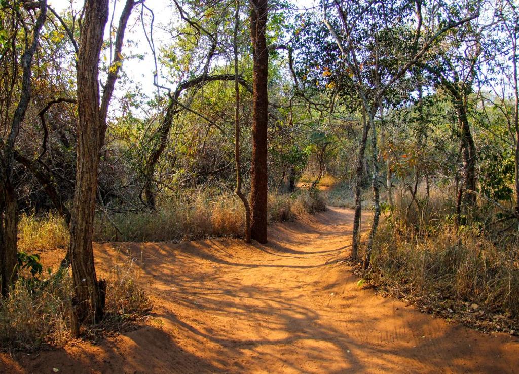 Umkhumbi Lodge Hluhluwe Εξωτερικό φωτογραφία