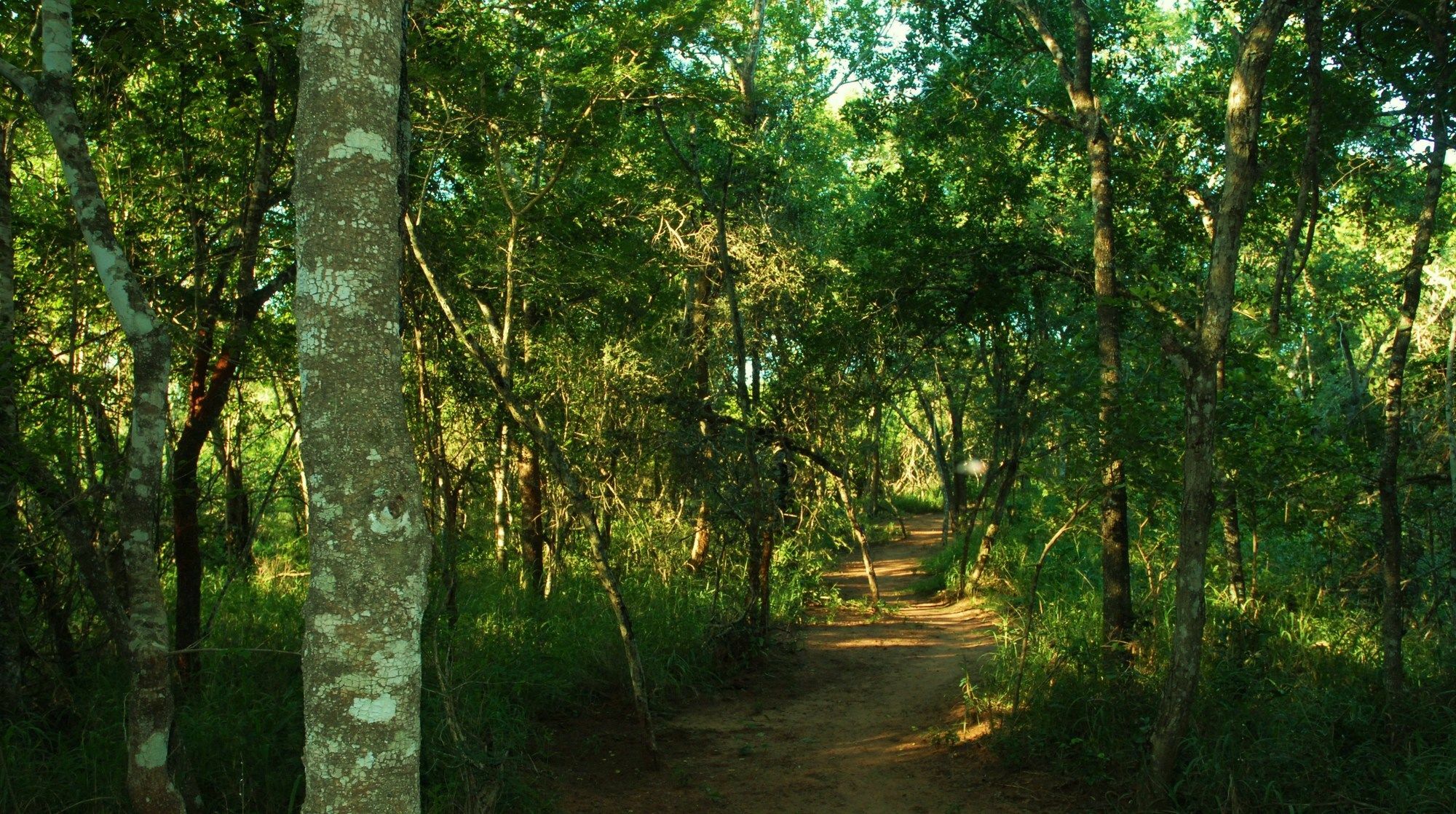 Umkhumbi Lodge Hluhluwe Εξωτερικό φωτογραφία